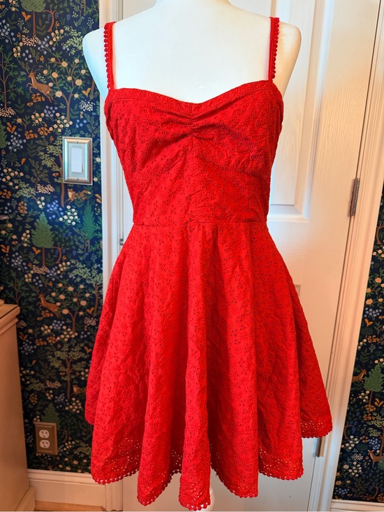 Altar'd State Dresses & Skirts - Altar'd State Red Eyelet Spaghetti-Strap Fit & Flare Mini